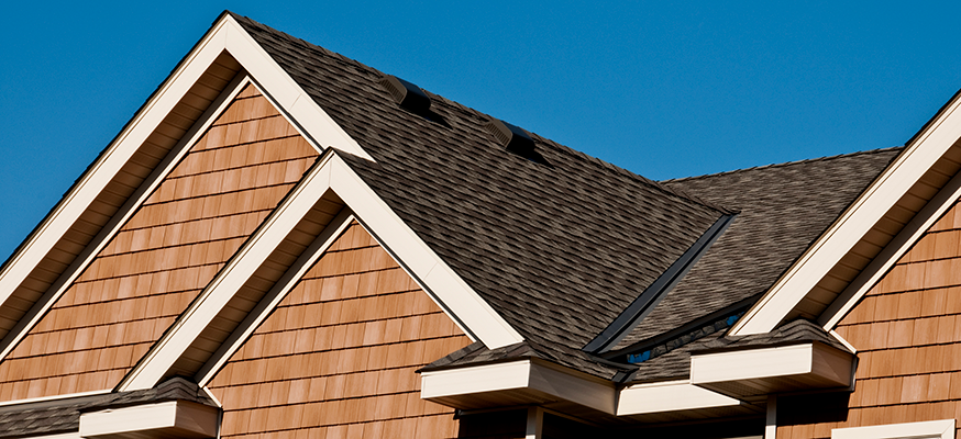 Avatar for Mad Dawg Roofing, Carpentry and Construction