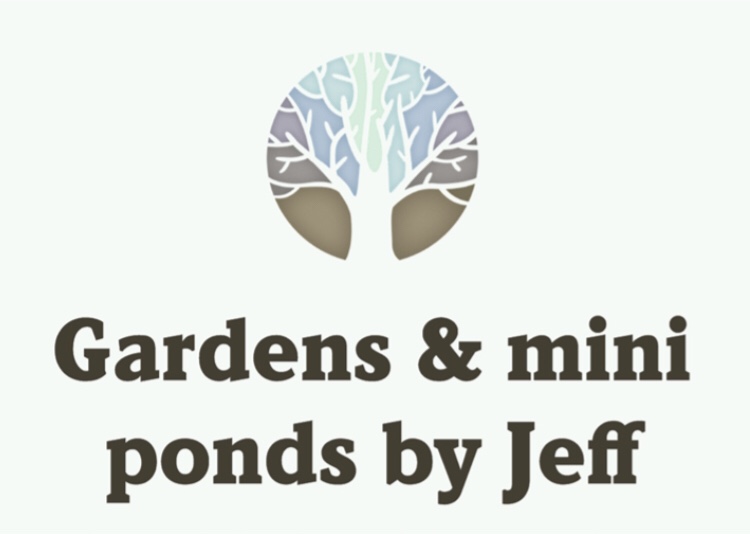 Avatar for Gardens & Mini Ponds by jeff