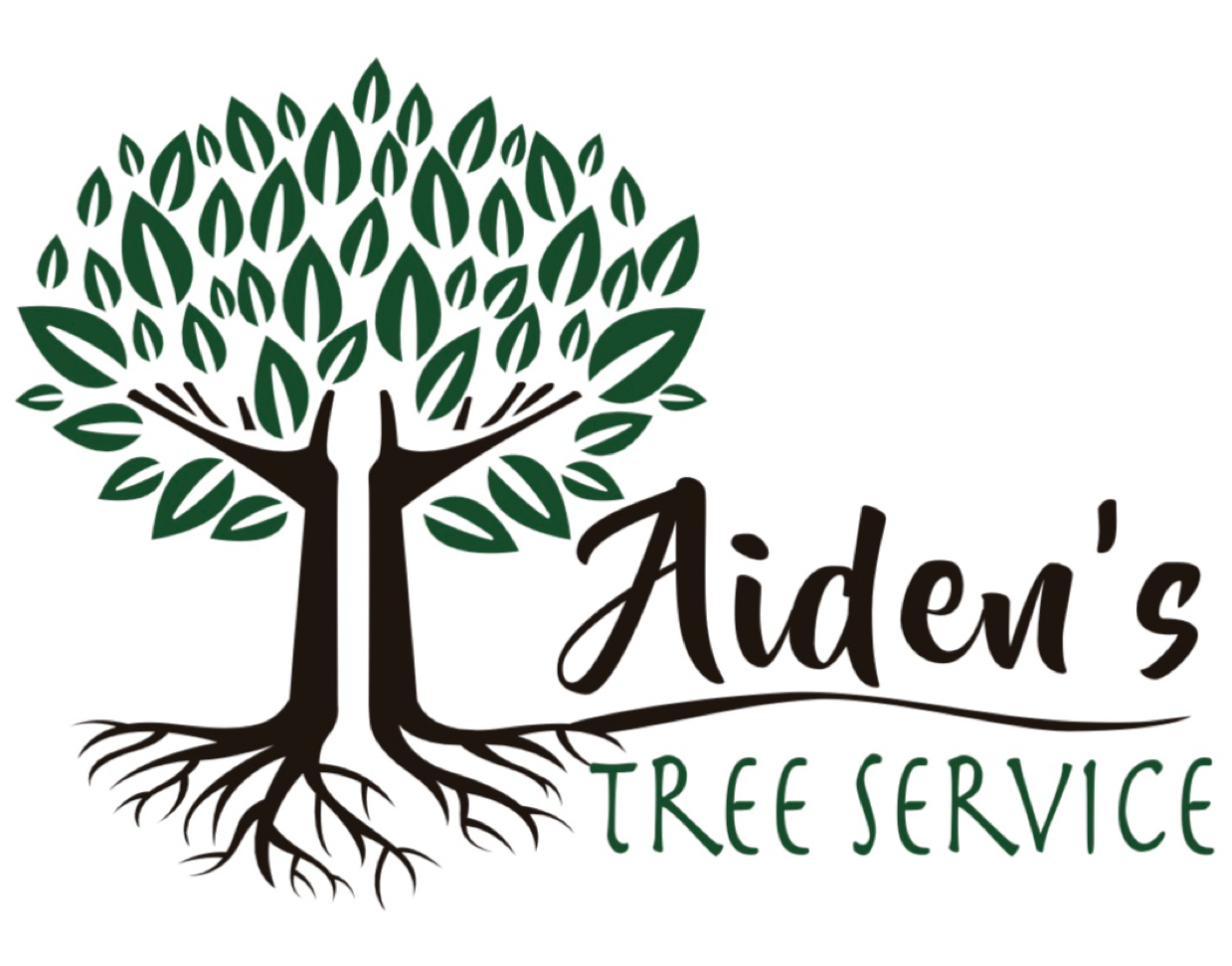 Avatar for Aiden's Tree Service