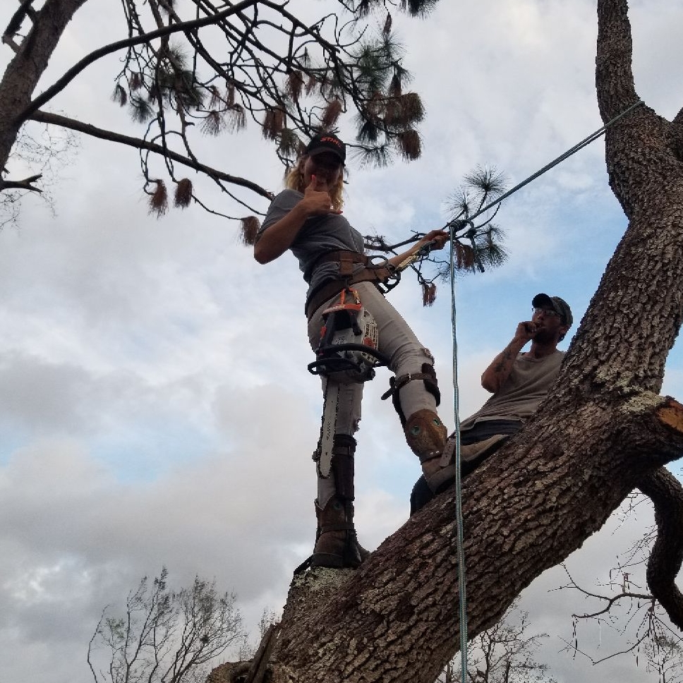Avatar for TREE CHOPPERS LLC.