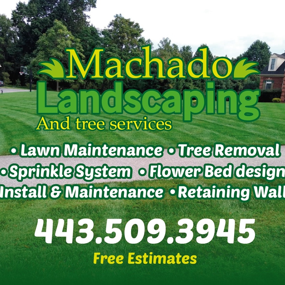 Machado Landscaping and Tree Service logo