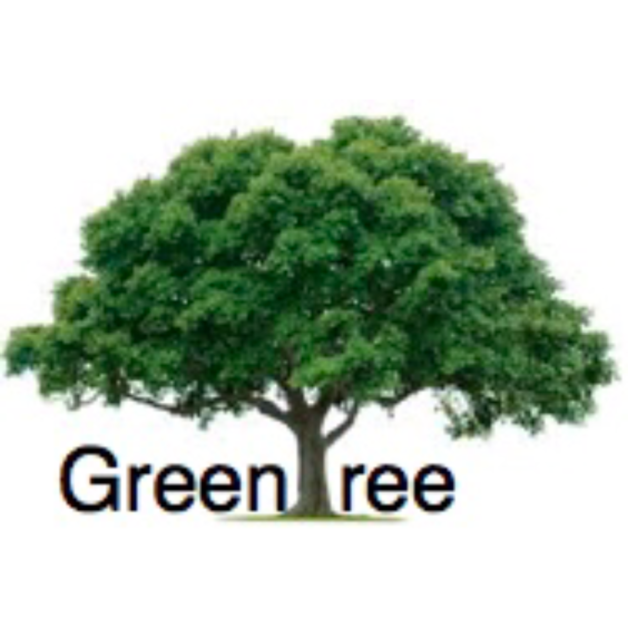 Avatar for GreenTree