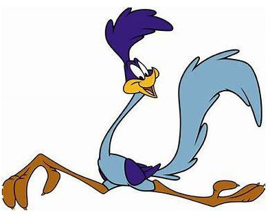 Avatar for Road Runner Plumbing