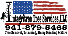 Avatar for Integritree