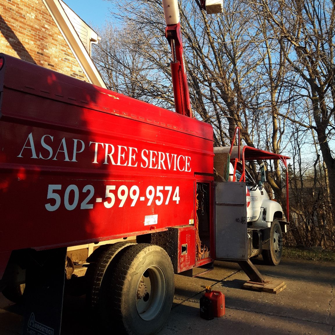 Logo for ASAP Tree Service