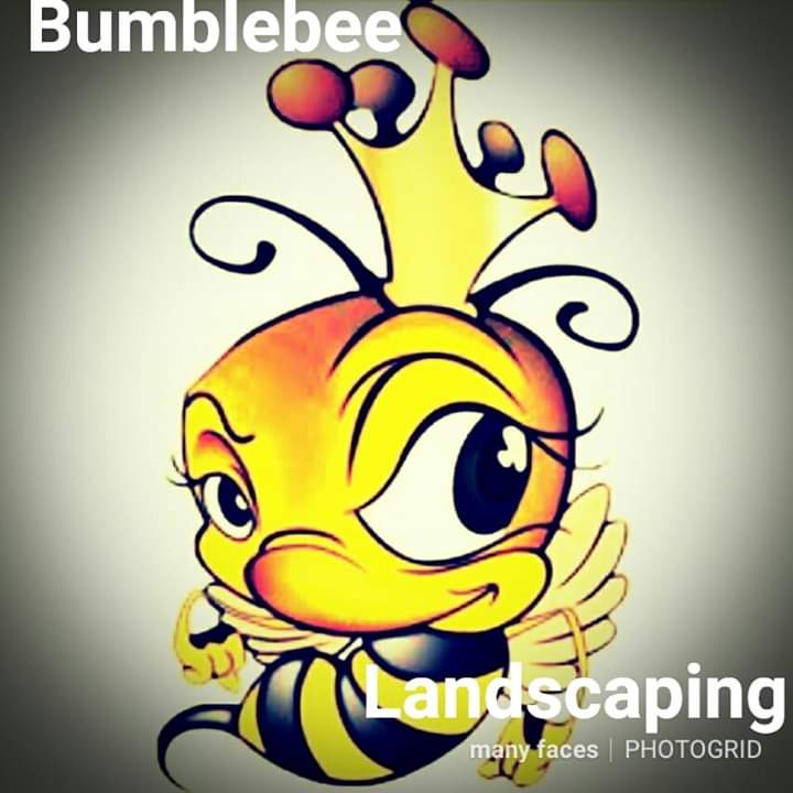 Avatar for Bumblebeez Landscaping