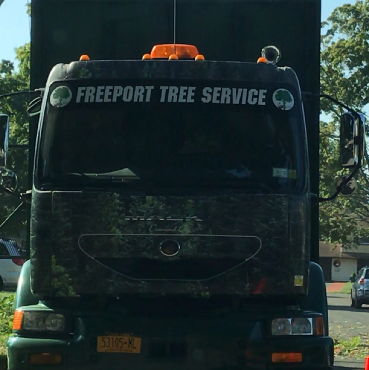 Avatar for Freeport Tree Services