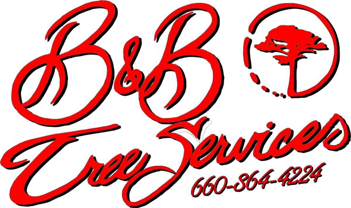 B and B Tree Services logo