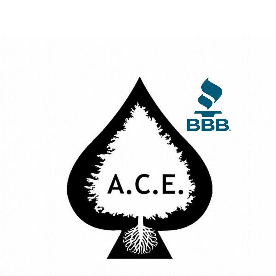Avatar for Ace Restoration Builders