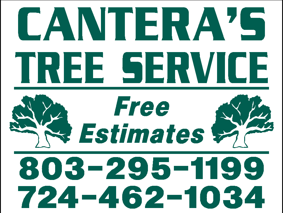 Logo for Cantaras tree service