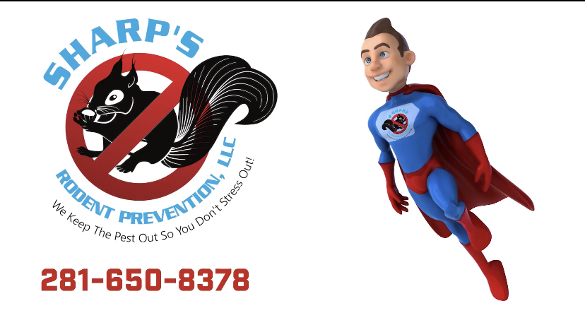 Avatar for Sharp's Rodent Prevention