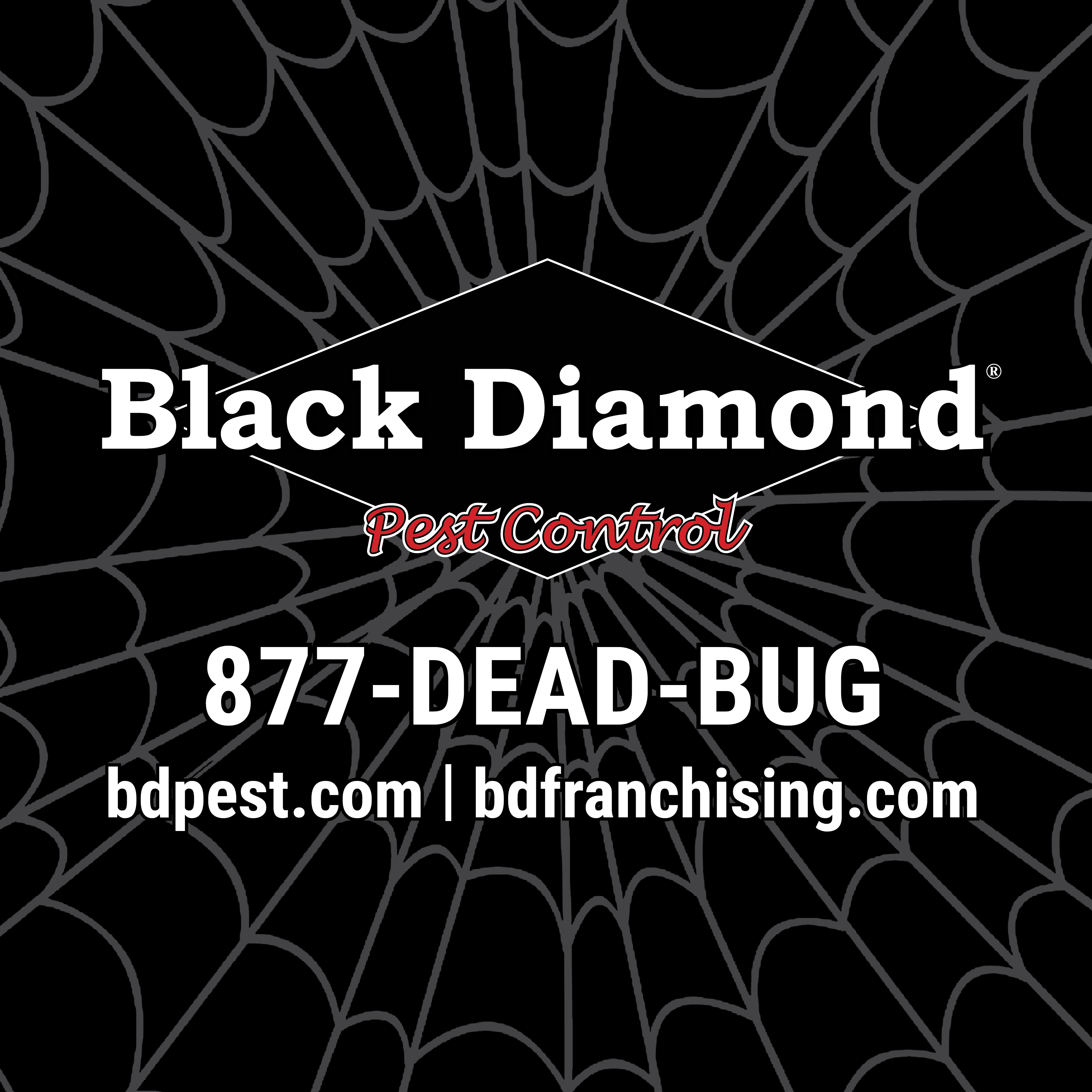 Black Diamond Pest Control logo