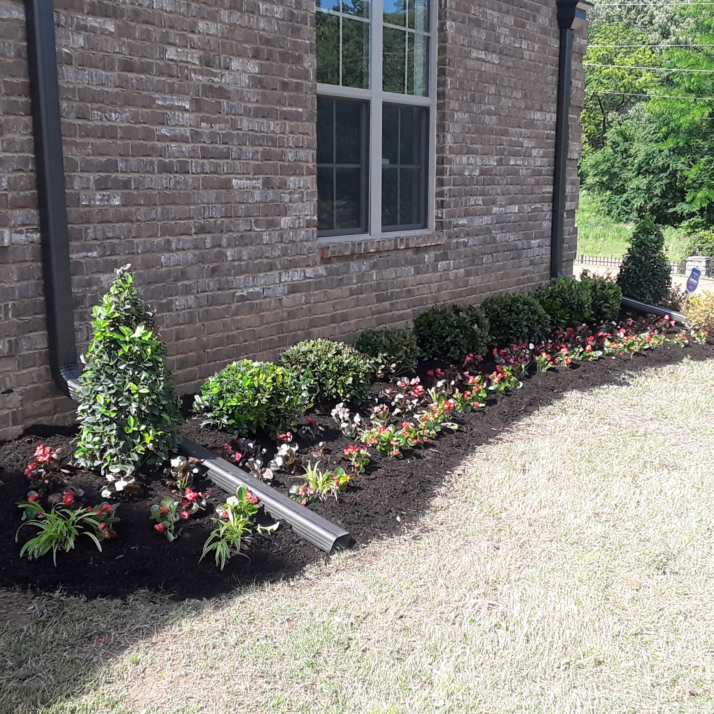 Avatar for Lisa Lawn and Landscape