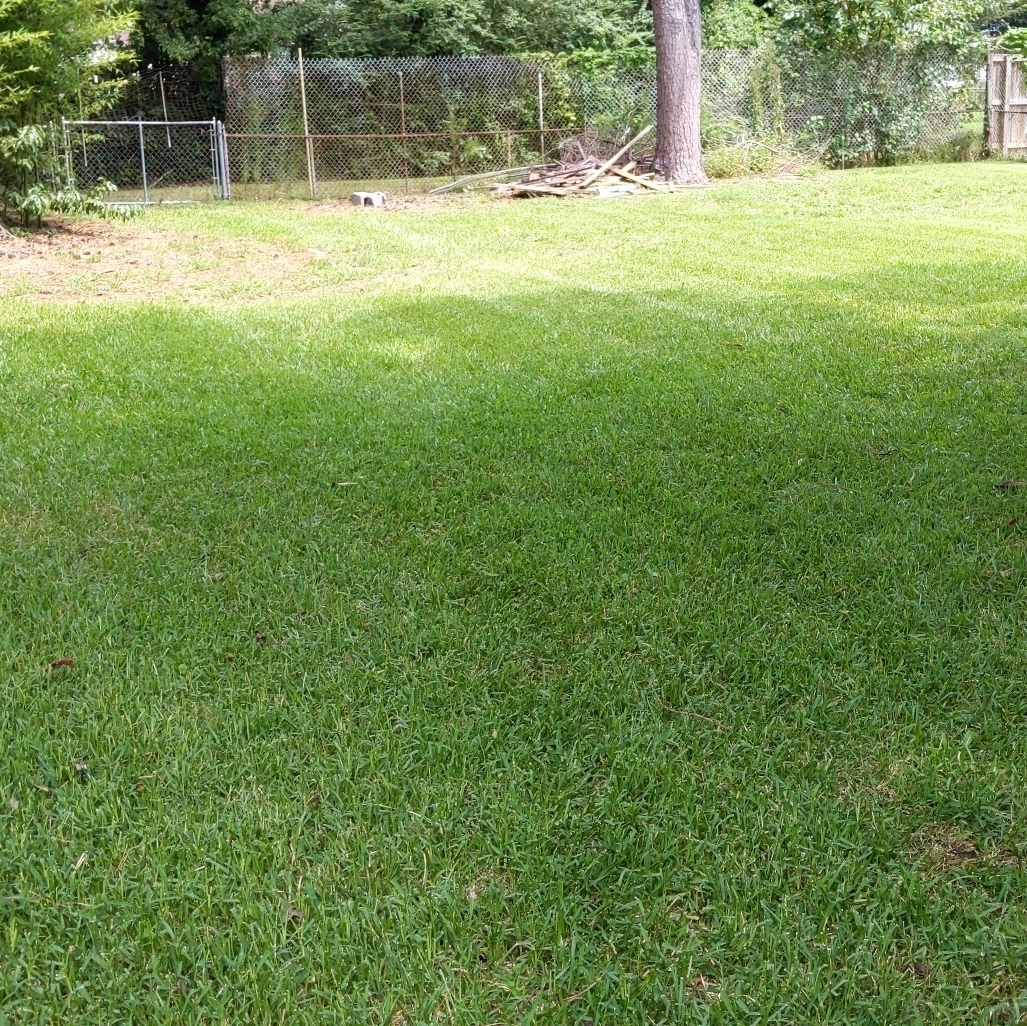 Avatar for LB Lawn Service