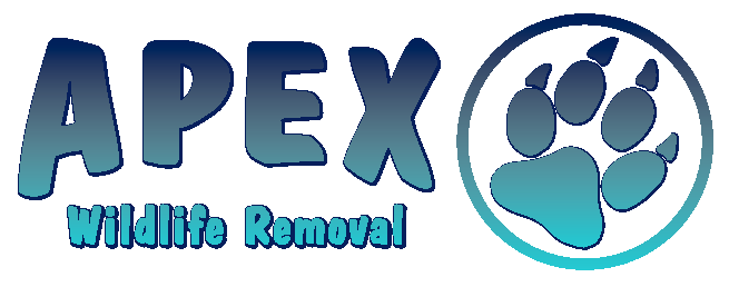Avatar for Apex Wildlife Removal