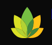 Avatar for Praise and Conquer Projects,LLC