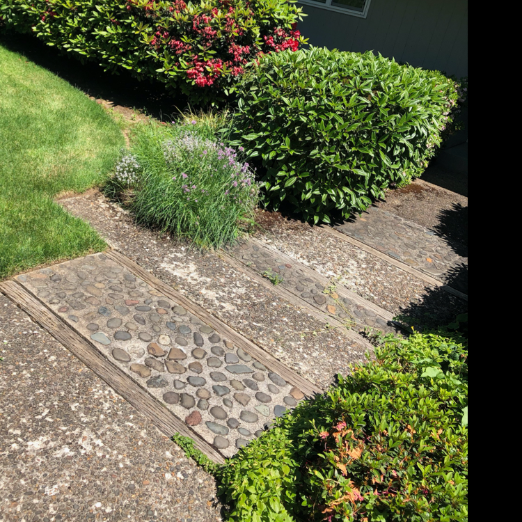Avatar for Best Buds Lawn Care LLC
