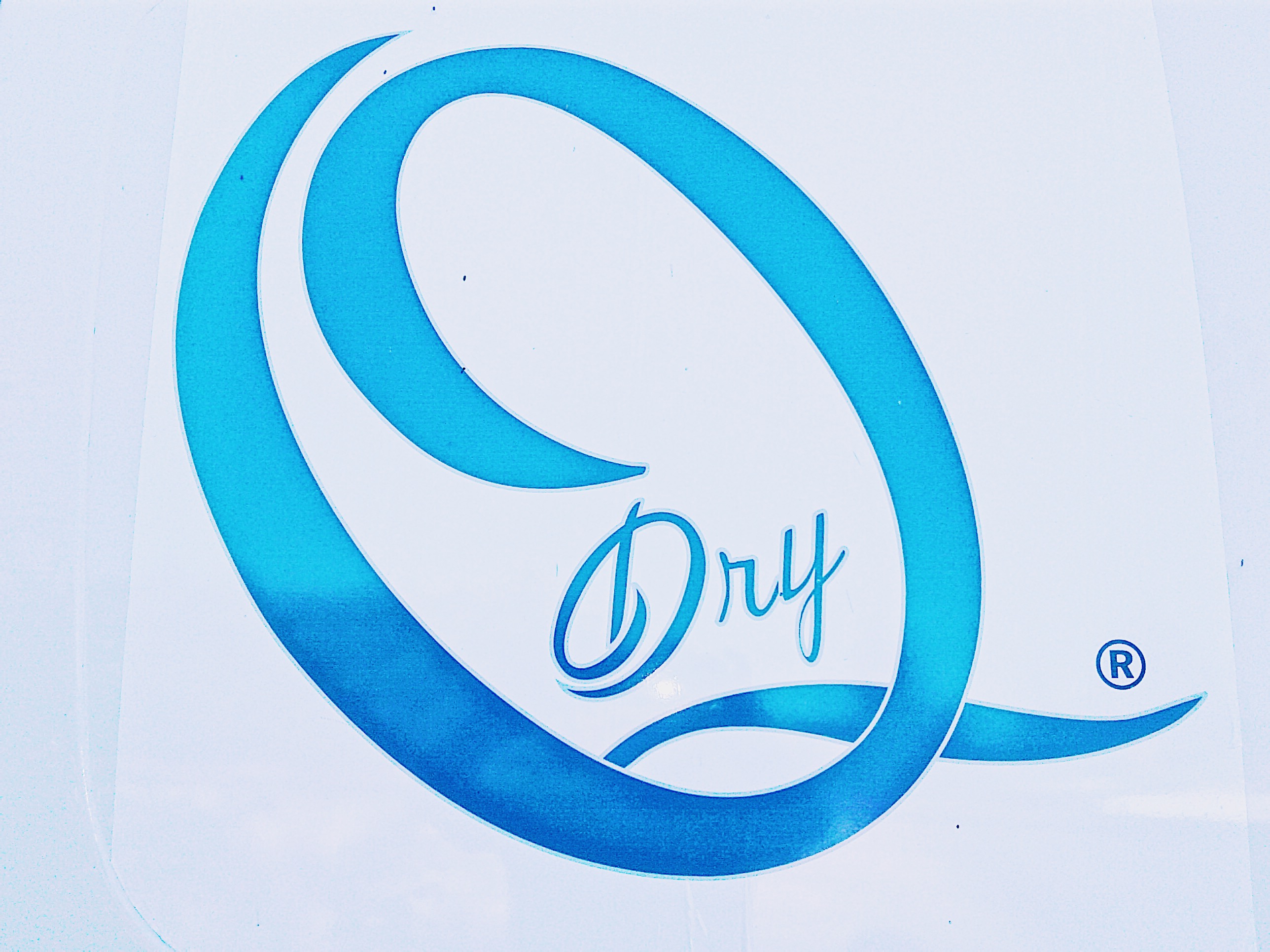 Dry Quality Carpet Cleaning logo