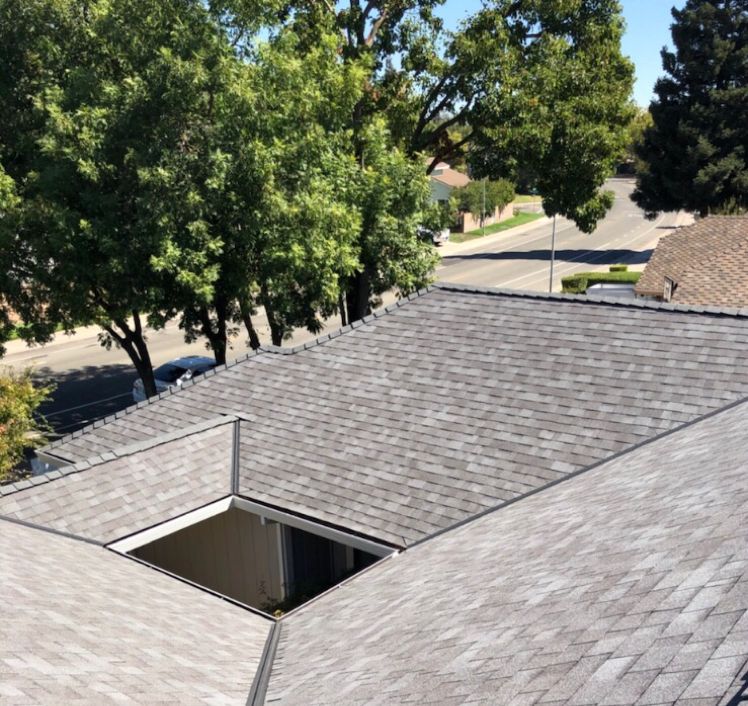 Sealtight Roofing logo