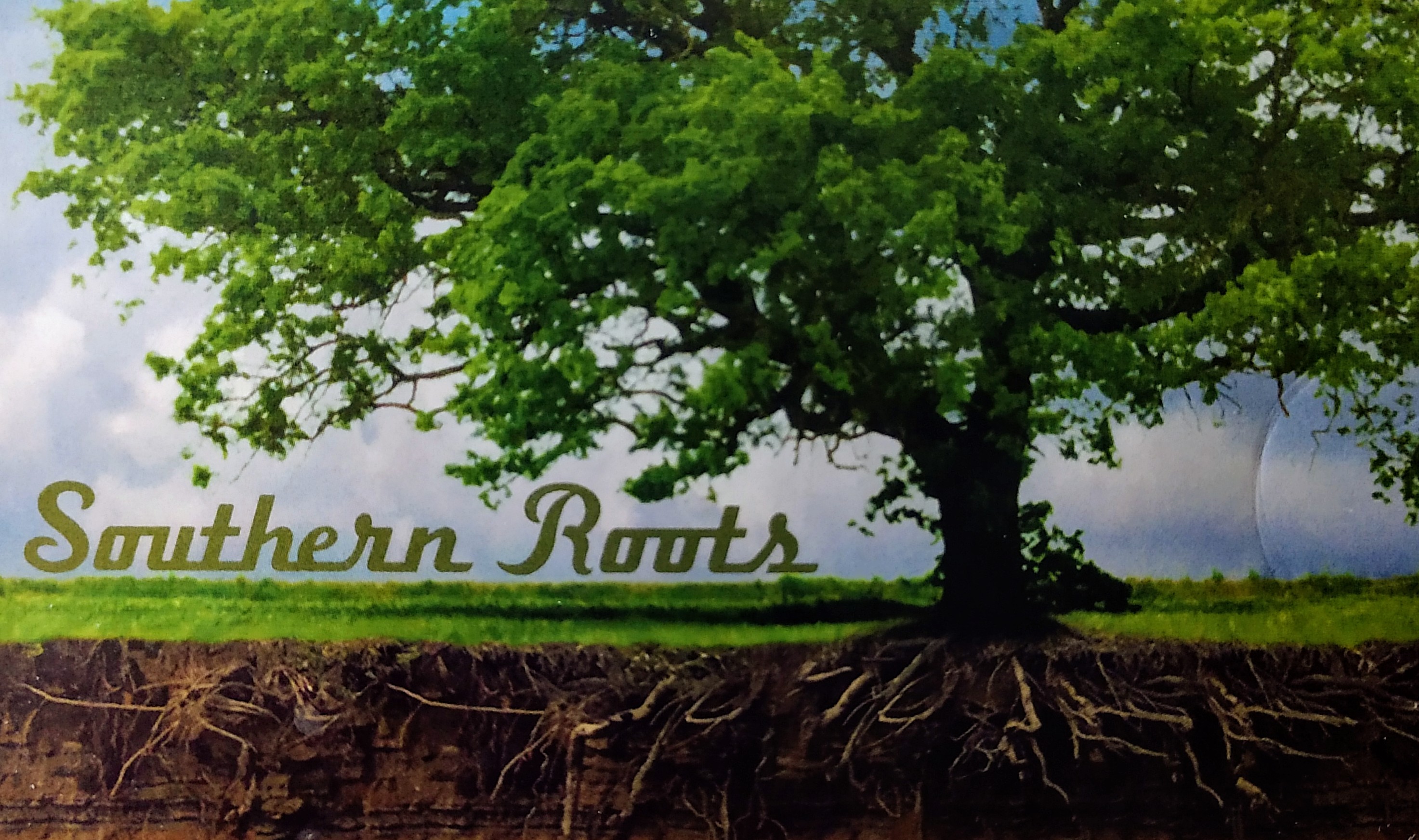 Avatar for Southern Roots