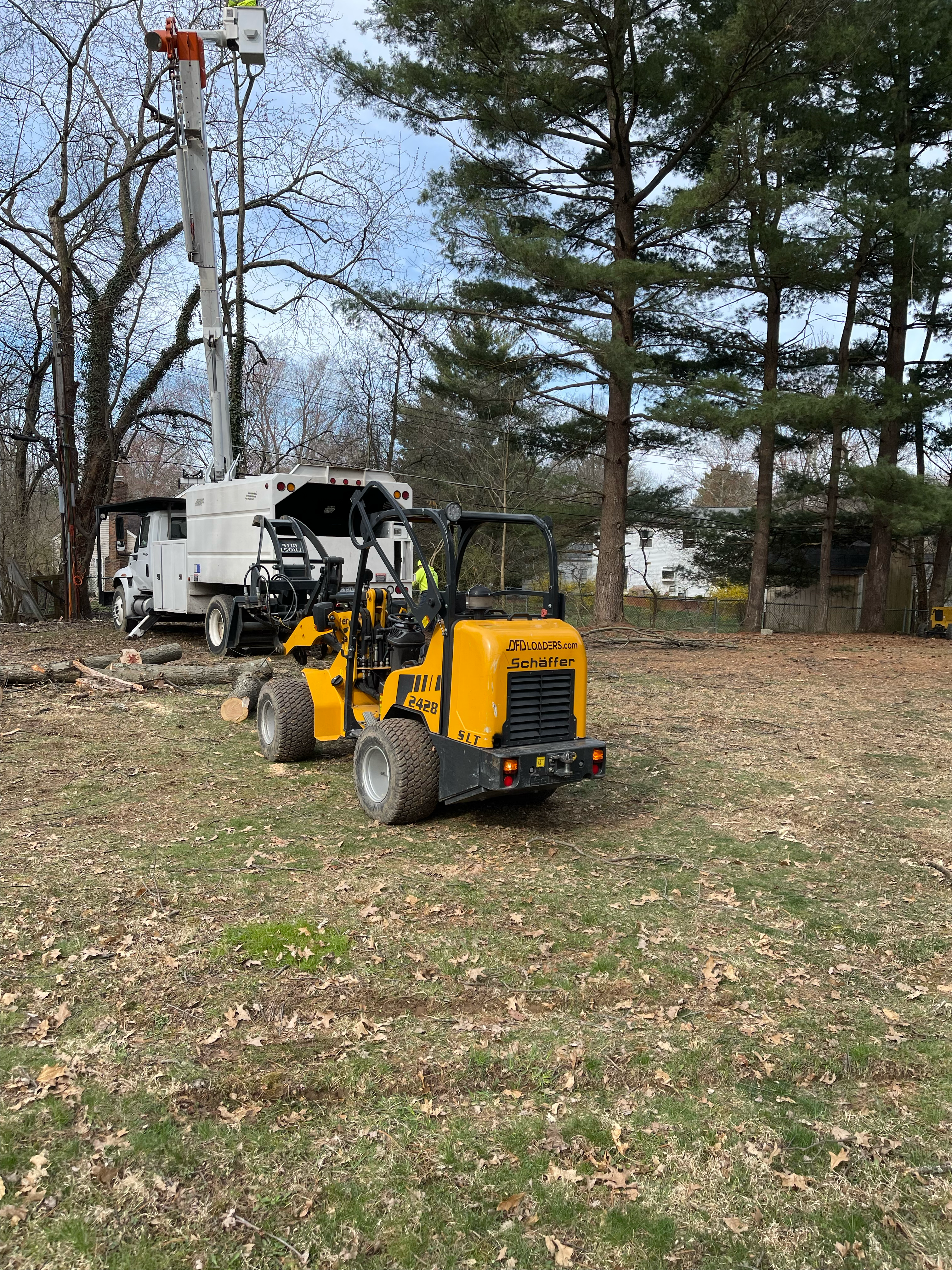A.J.L. Tree Service logo