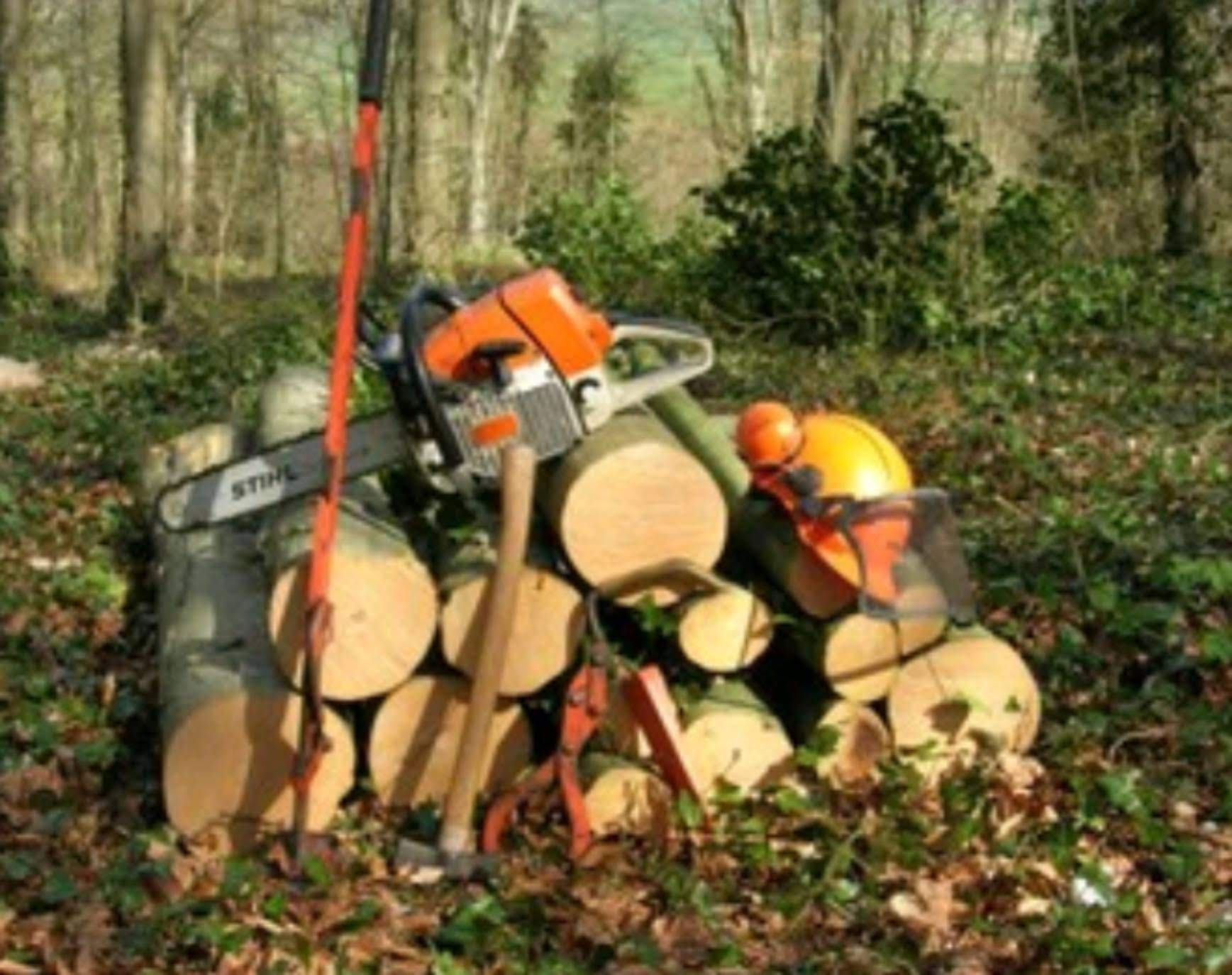 Avatar for Henson & Sons Landscaping and Tree Services