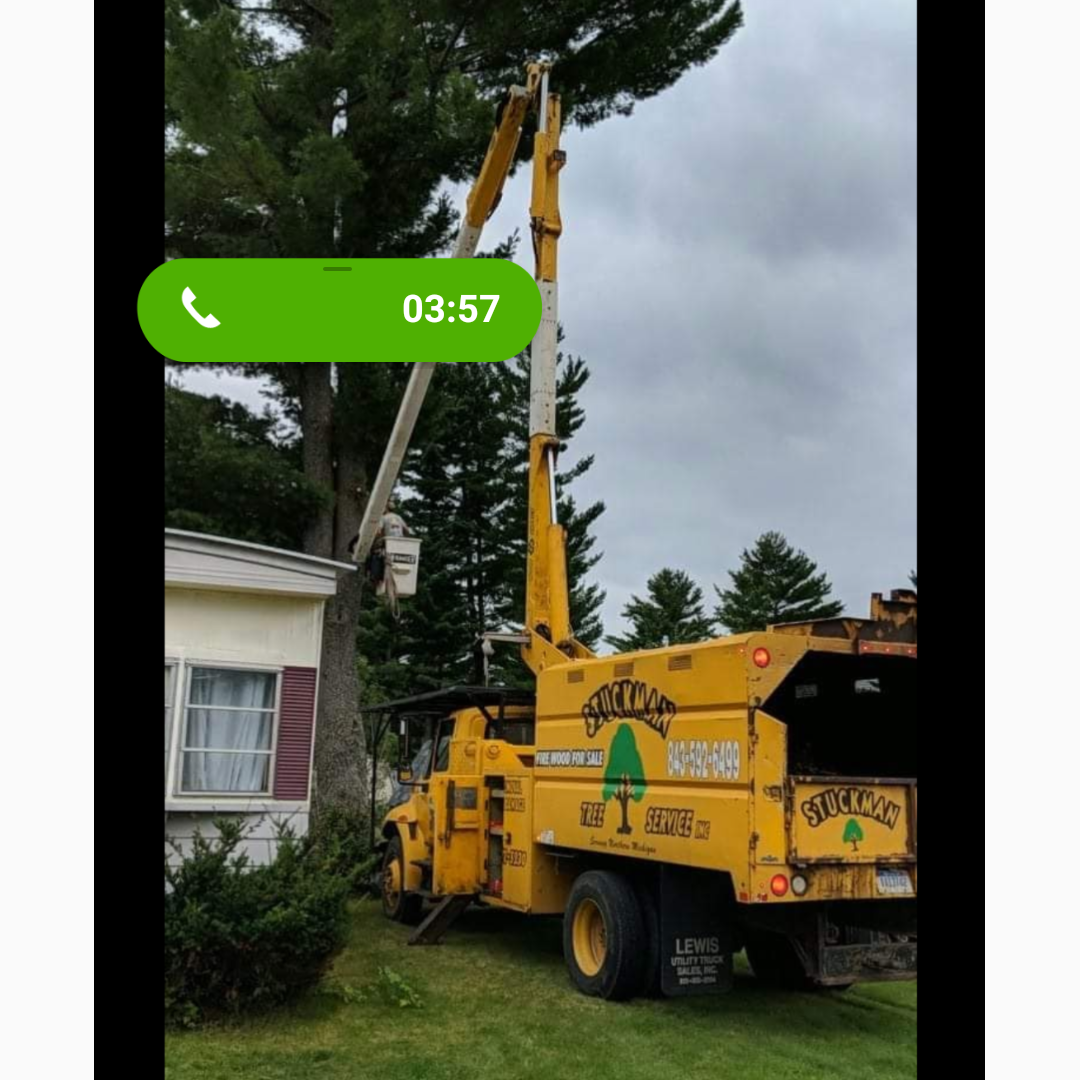 Avatar for Stuckman Tree Service