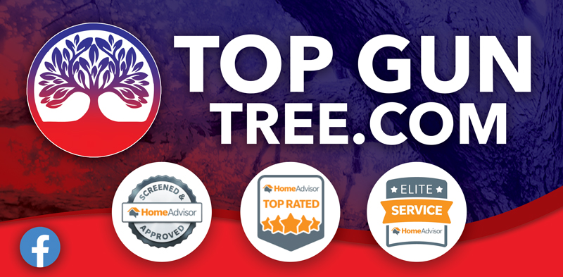 Avatar for Top Gun Tree Service LLC