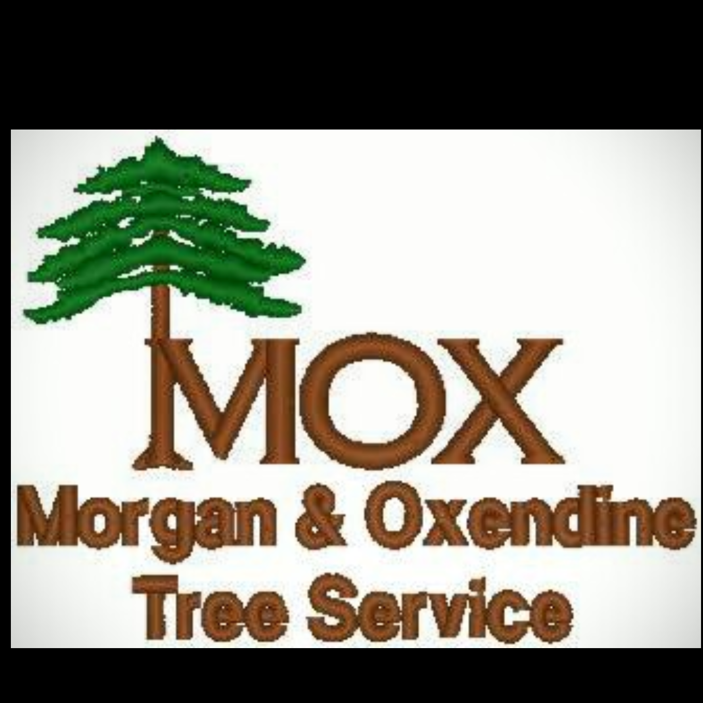 Avatar for Morgan & Oxendine Tree Services