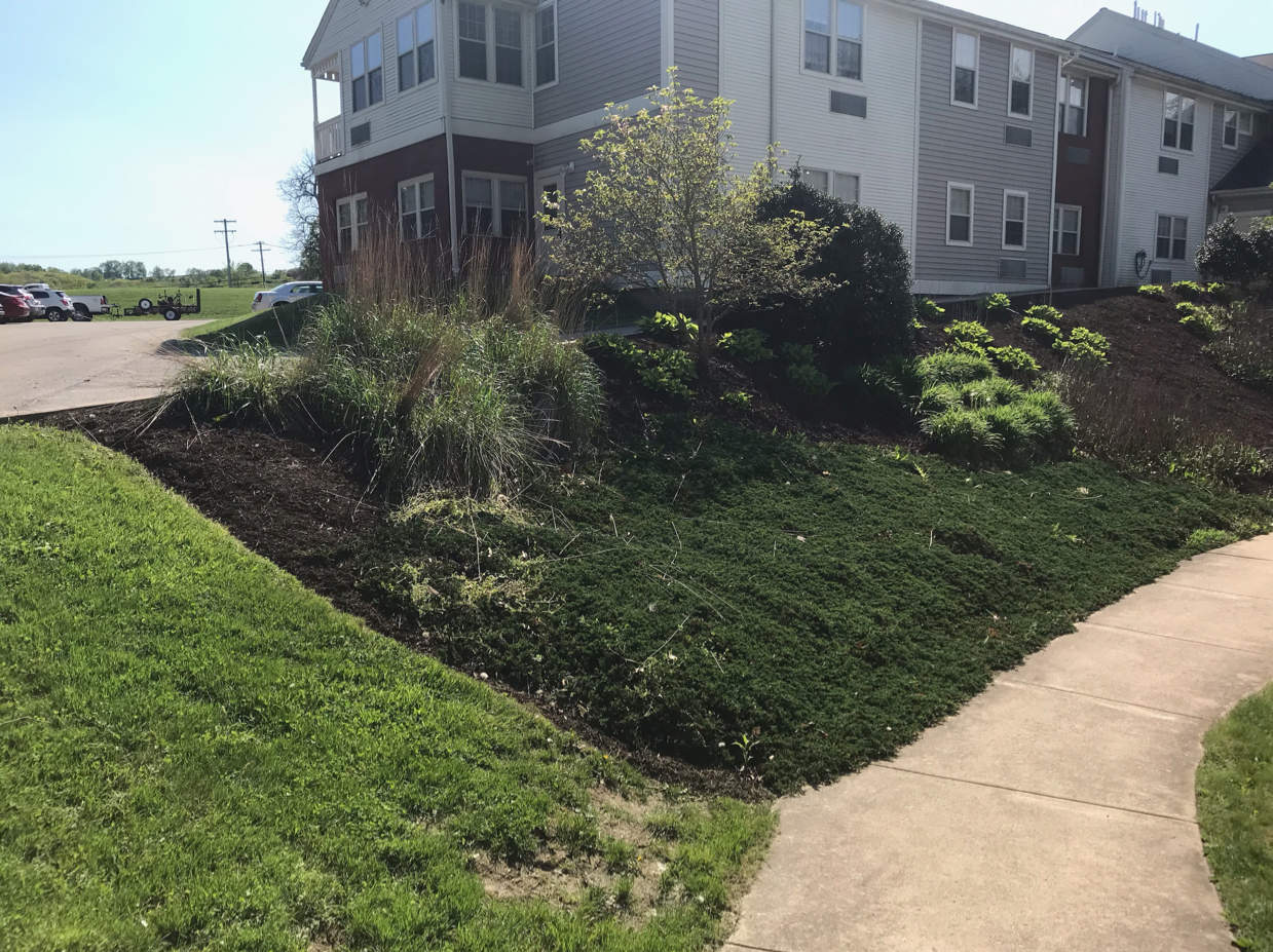 Total Landscaping Concepts logo