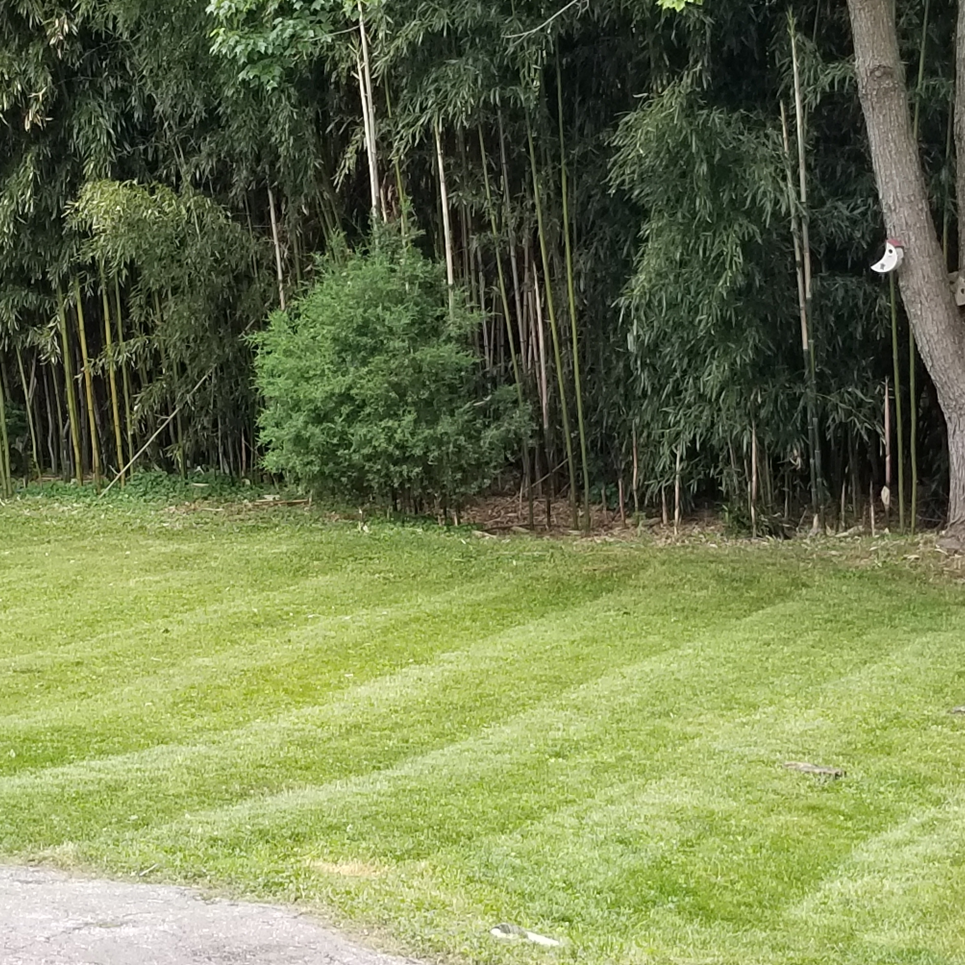 KC LAWN CARE logo