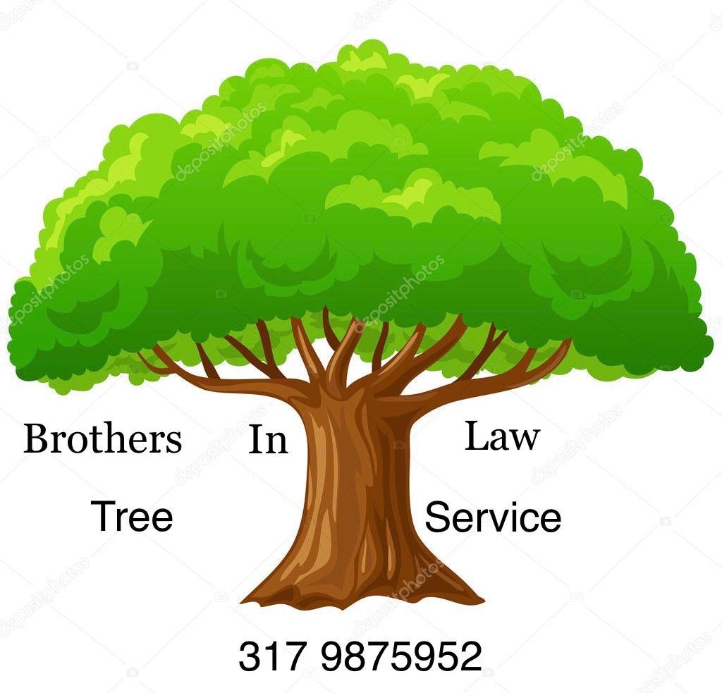 Avatar for Brother in Law Tree Service