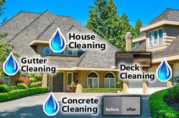 Logo for The House Washing