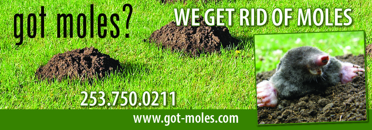 Got Moles logo