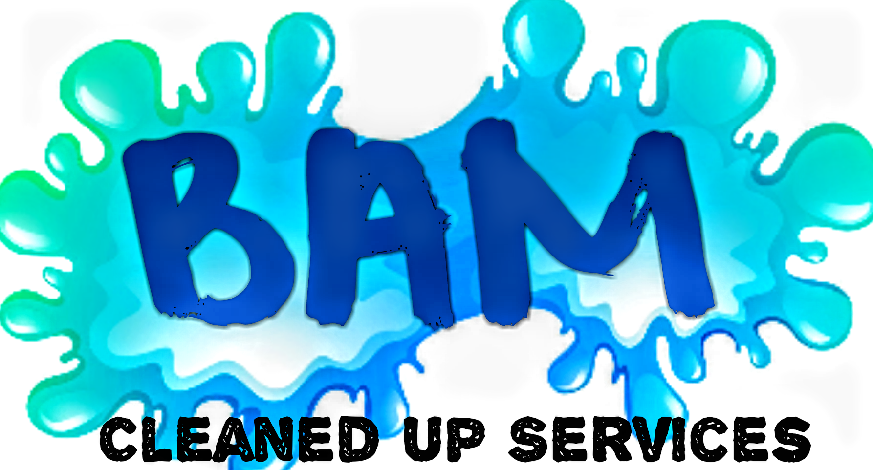 BAM Cleaned Up Services logo