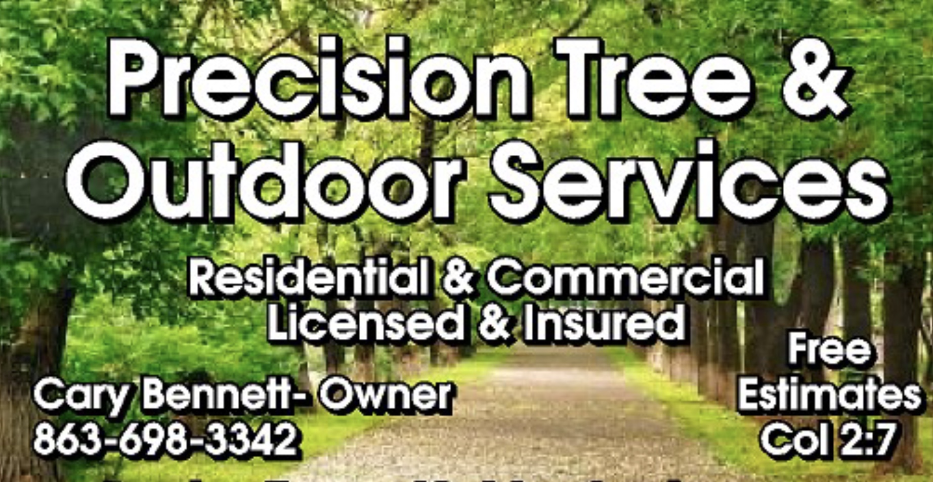Precision Tree and Outdoor Services logo