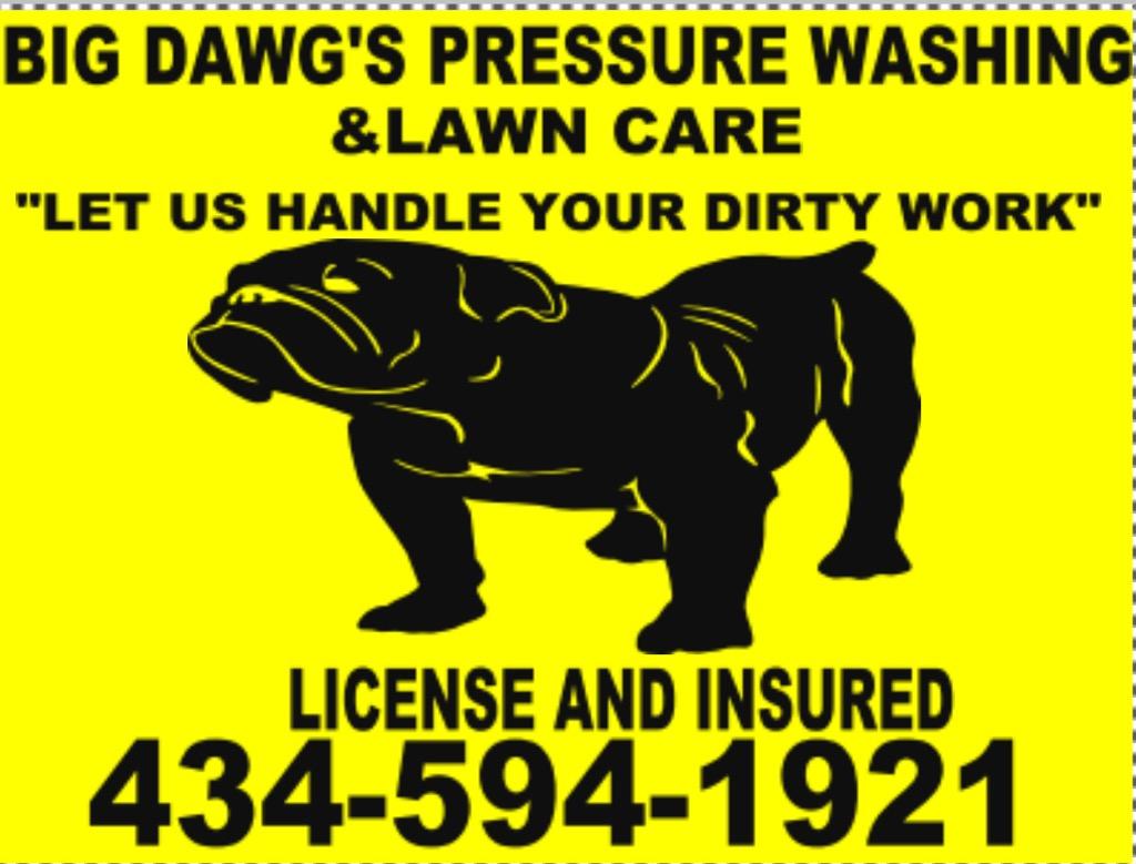 Logo for Big Dawg Pressurer Washing llc