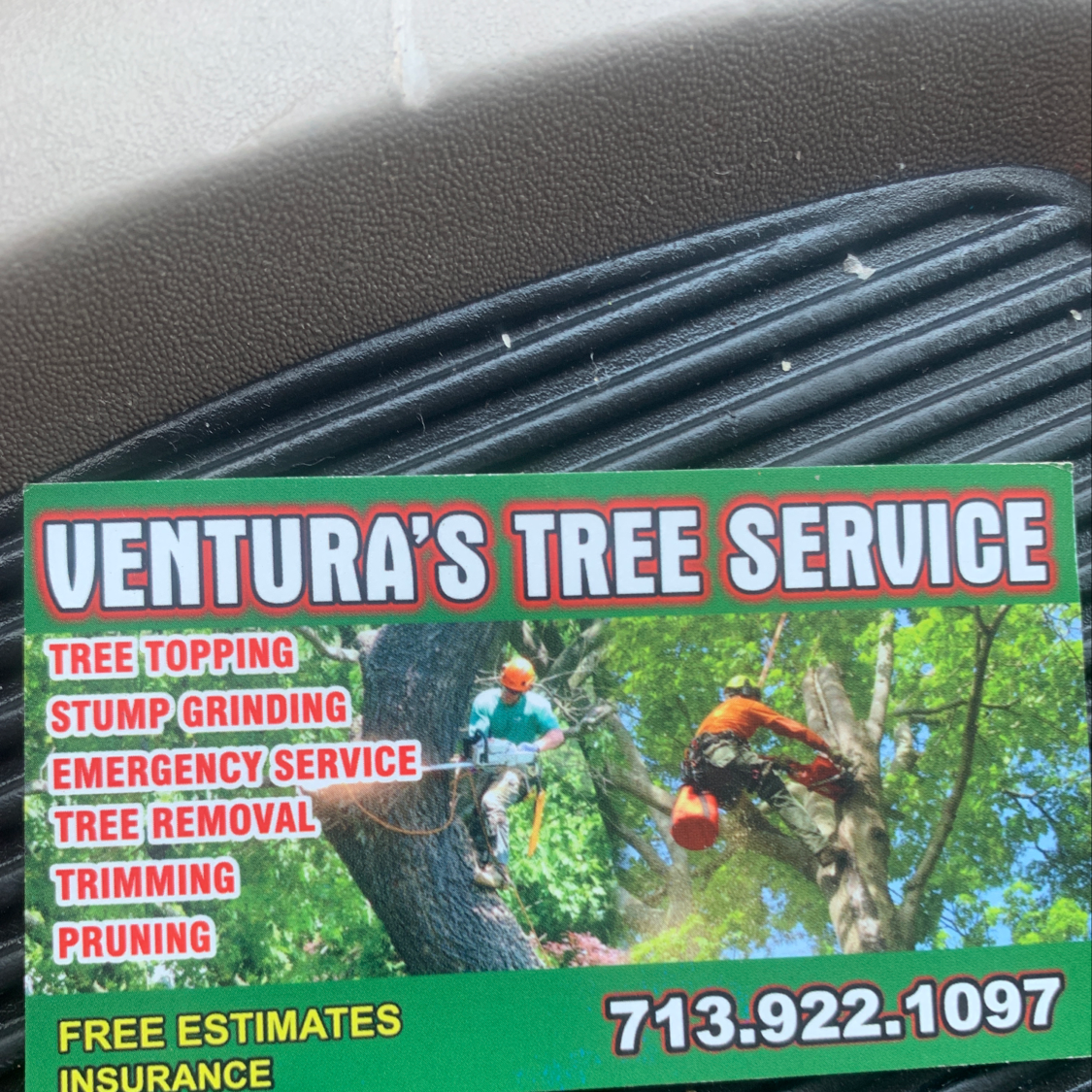 Avatar for Ventura's Tree Services