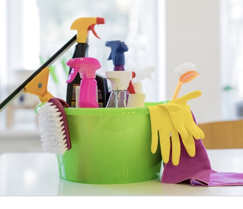 Let Me Do The Cleaning logo