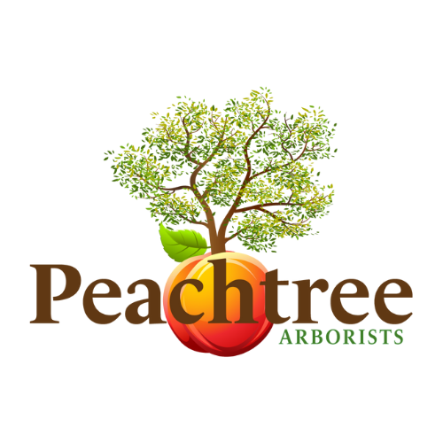Peachtree Arborists logo