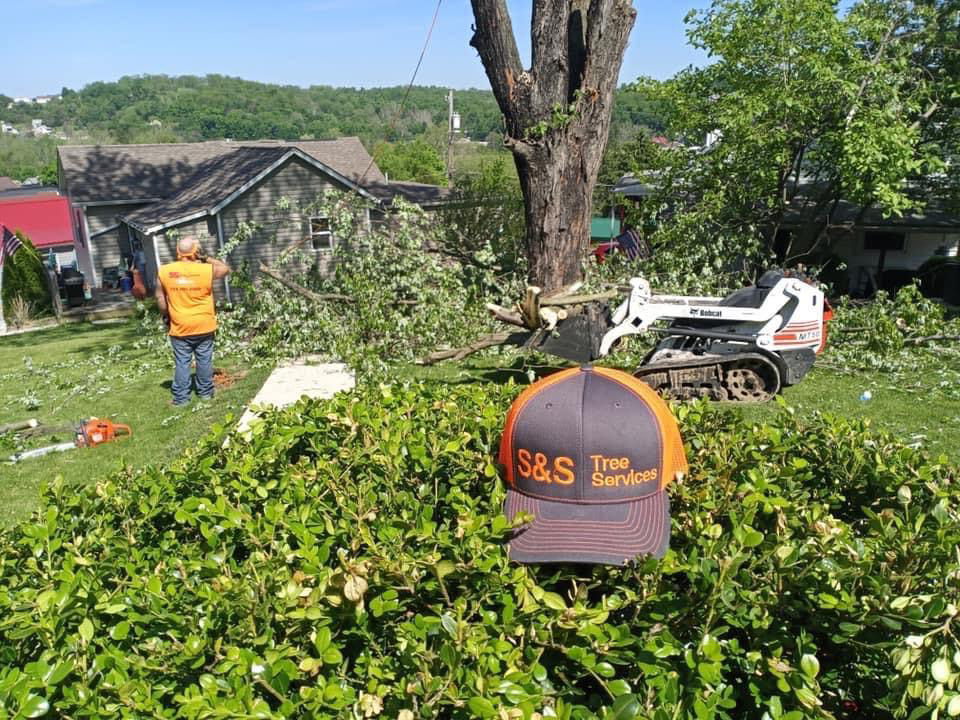 Logo for S&S Tree Service