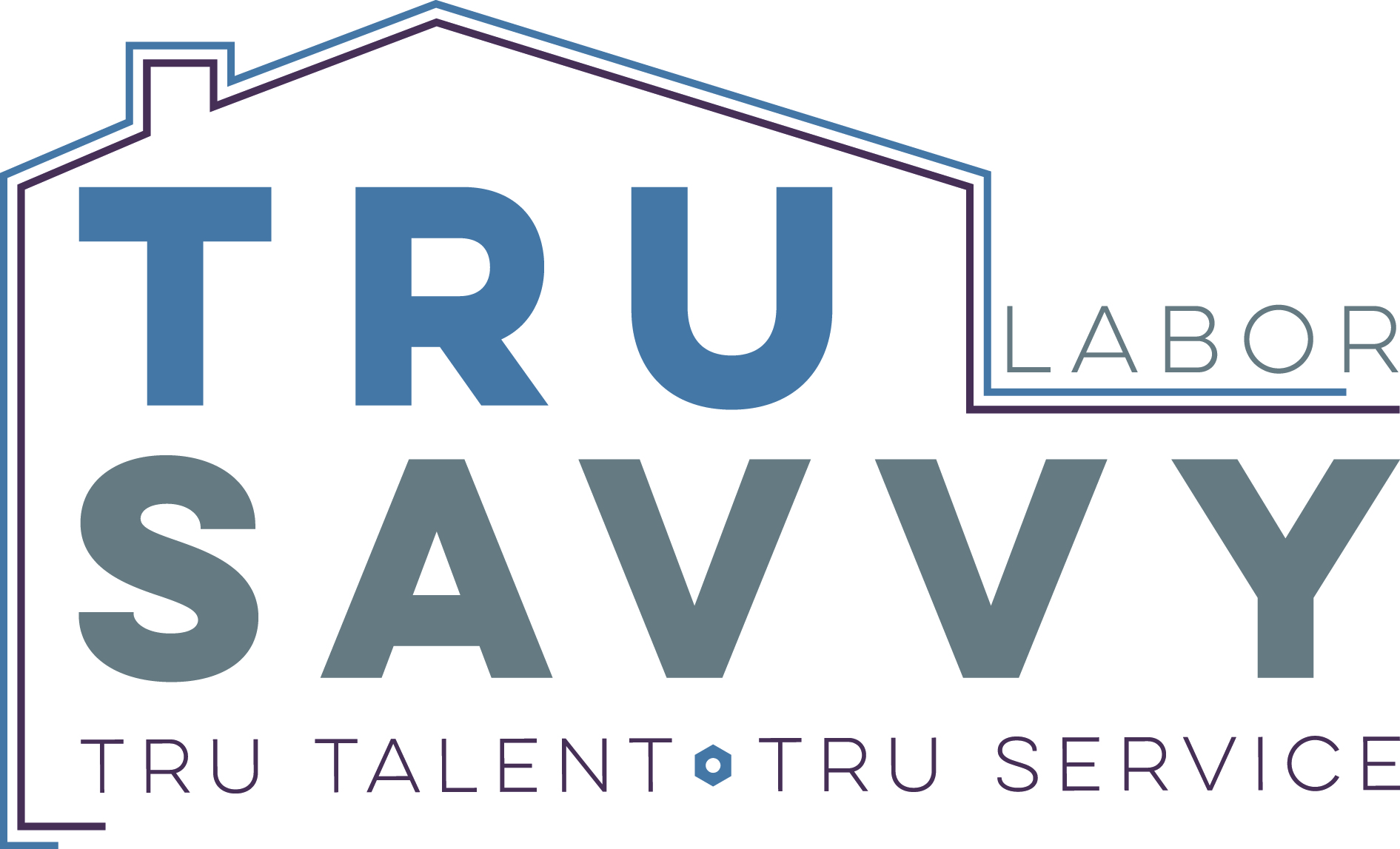 True Savvy Labor, LLC logo