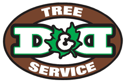 Logo for D&D Tree Service