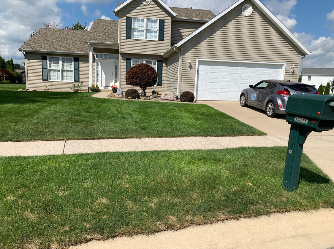Avatar for Complete Home Exterior Cleaning Services