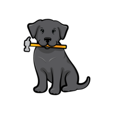 Logo for Hammer & Nail