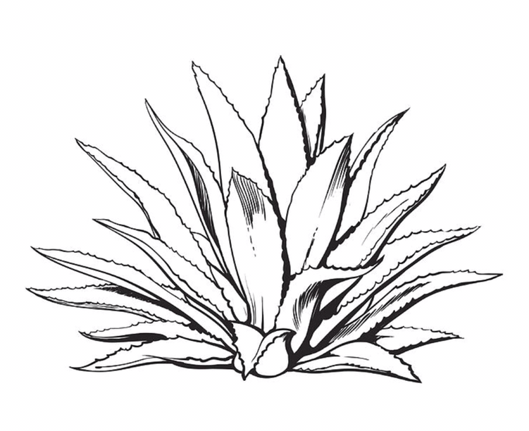 Avatar for Agave Construction