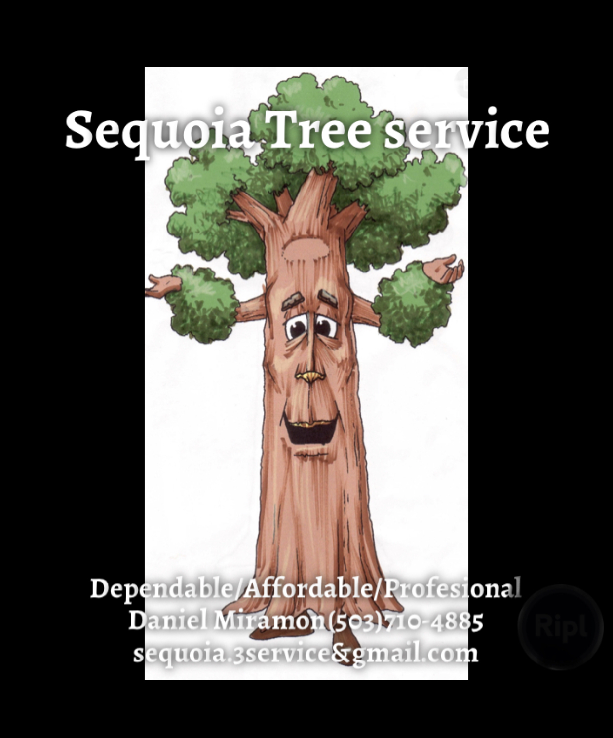 Sequoia Tree Service logo