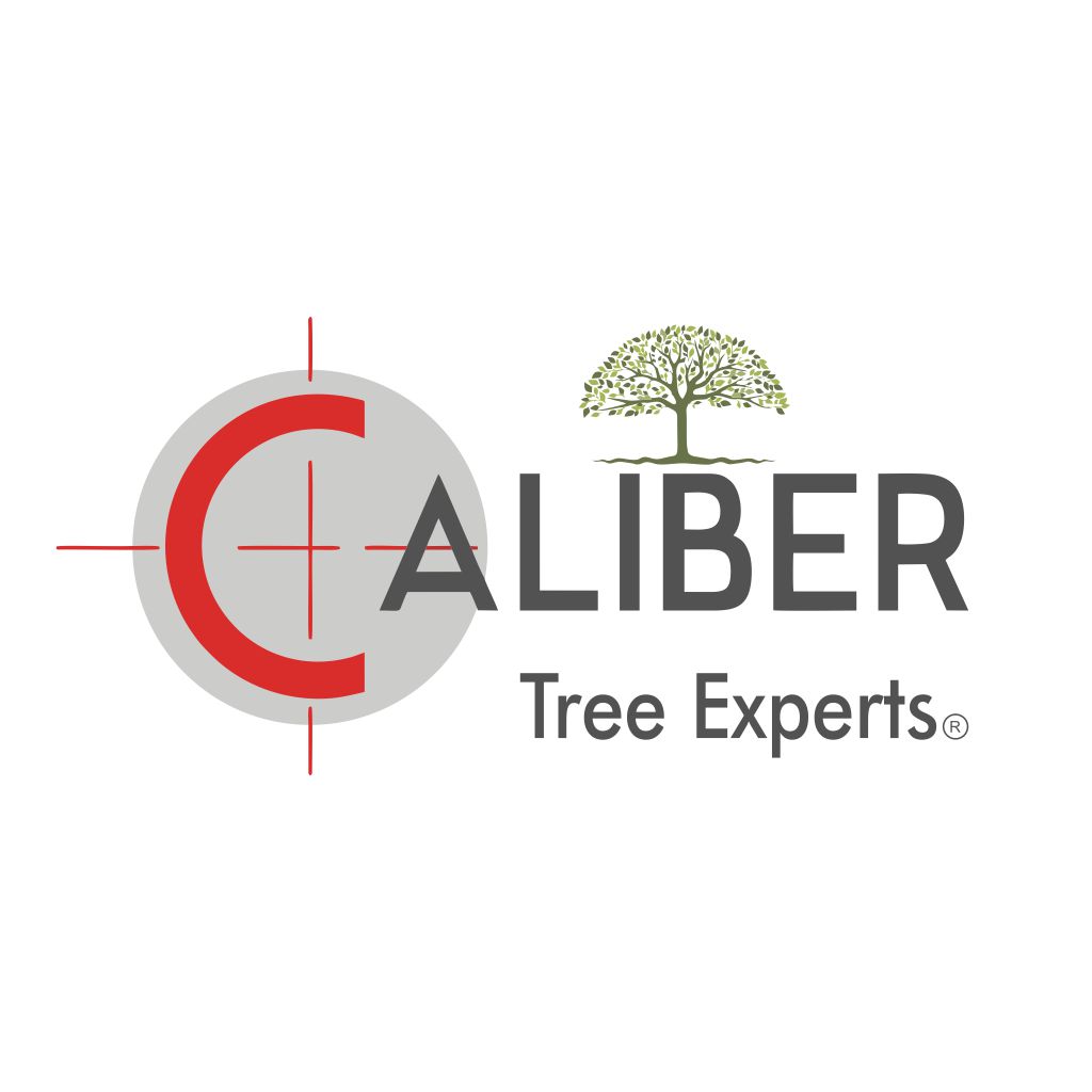 Logo for Caliber Tree Services