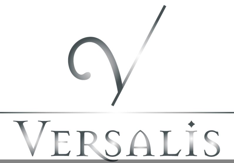 Logo for Versalis Group Inc