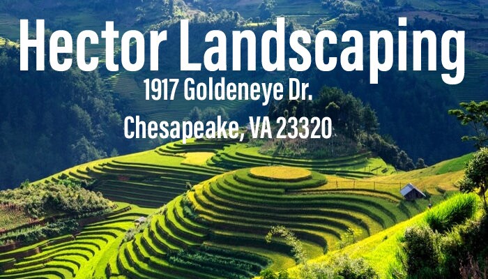 Hector Landscaping logo